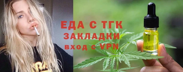 индика Орехово-Зуево
