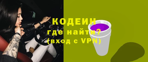 индика Жердевка
