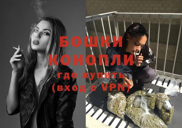 бошки Долгопрудный