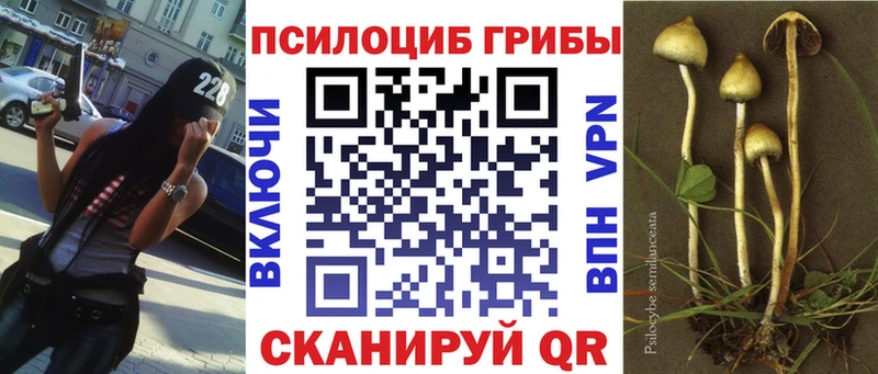 МЕГА зеркало  Качканар  Псилоцибиновые грибы MAGIC MUSHROOMS 