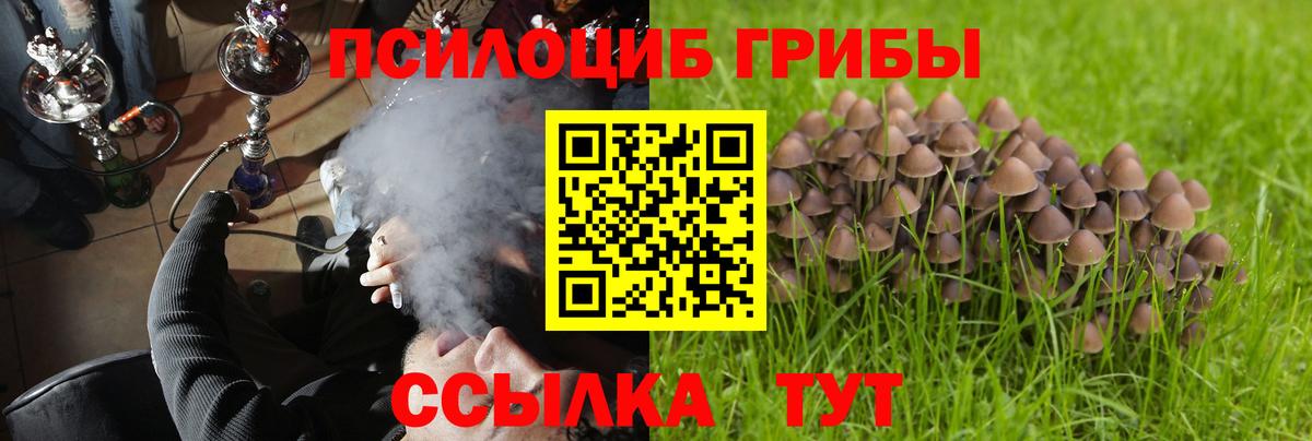 купить наркотик  Галлюциногенные грибы мицелий  Вход с VPN  Качканар 